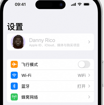 临沂appleID维修服务iPhone设置中Apple ID显示为灰色无法使用 