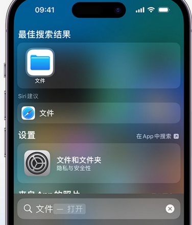 临沂apple维修中心分享iPhone文件应用中存储和找到下载文件 