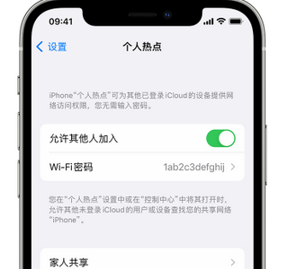 临沂apple服务站点分享iPhone上个人热点丢失了怎么办