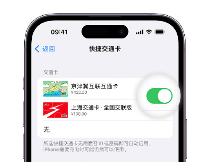 临沂apple维修点分享iPhone上更换Apple Pay快捷交通卡手绘卡面 