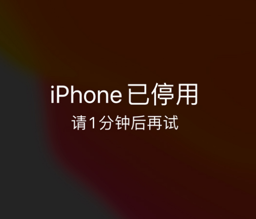 临沂苹果手机维修分享:iPhone 显示“不可用”或“已停用”怎么办？还能保留数据吗？ 