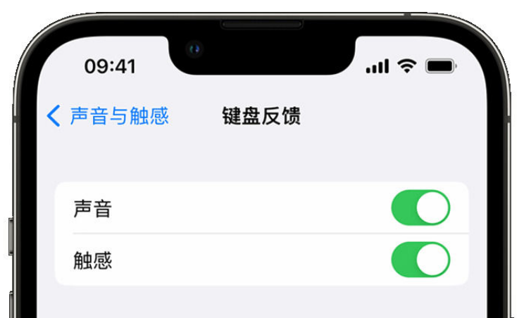 临沂苹果手机维修分享iPhone 14触感键盘使用方法 