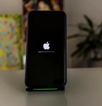 临沂苹果手机维修分享更新iOS 16时卡在滑动升级界面解决办法 