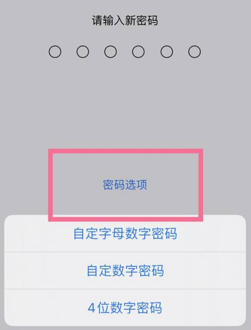 临沂苹果14维修分享iPhone 14plus设置密码的方法 