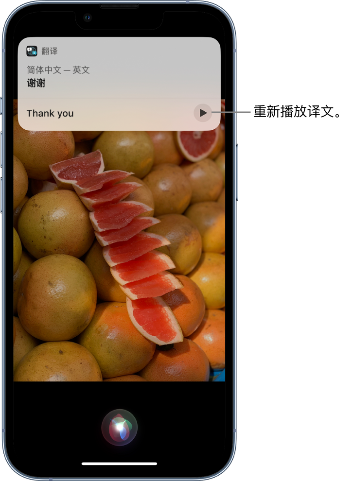 临沂苹果14维修分享 iPhone 14 机型中使用 Siri：了解 Siri 能帮你做什么 