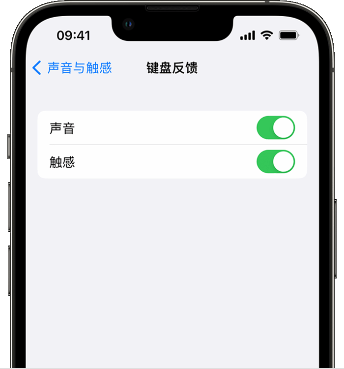 临沂苹果14维修分享iPhone 14 系列机型如何开启键盘声音或触感反馈 