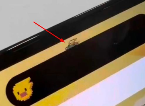 临沂苹果14维修分享iPhone 14 Pro Max灵动岛怎么养宠物 