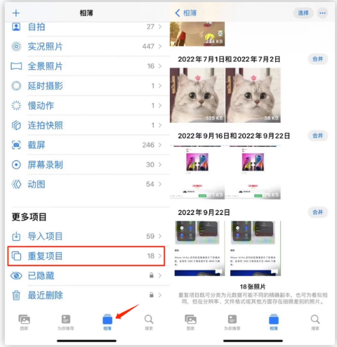 临沂苹果手机维修分享iOS 16 中相册重复项目功能使用方法 