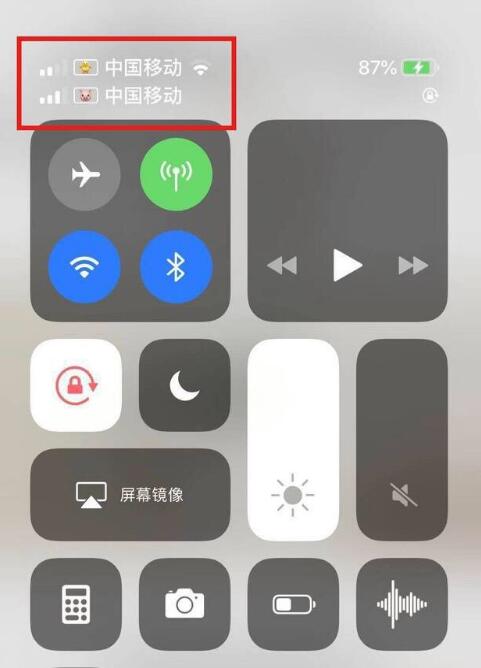 临沂苹果手机维修分享为 iPhone 12 双卡设置标签 