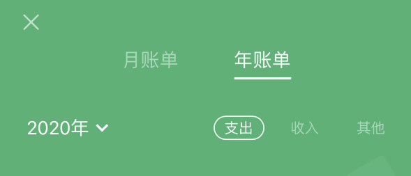 临沂苹果手机维修分享如何在 iPhone 上查看支付宝和微信年支出账单 